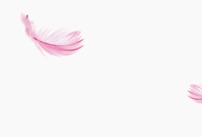 feather1